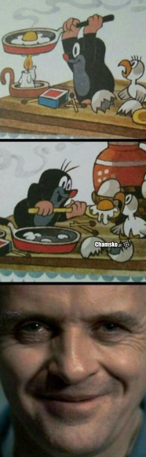Krecik zwyrol