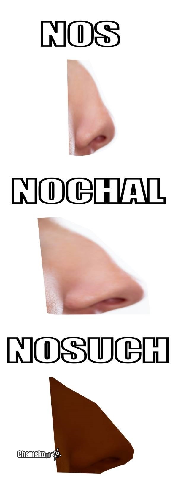 Nosy