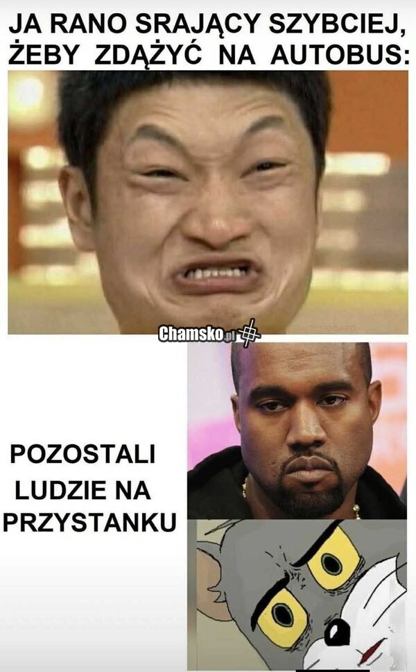 Szybka kupa