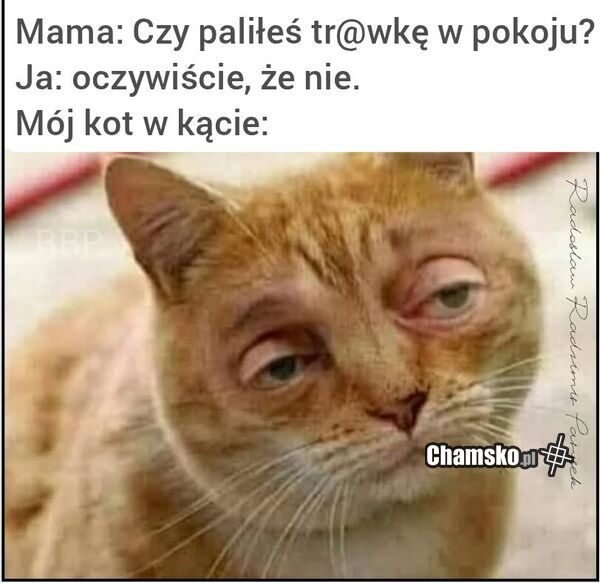 Palenie w pokoju