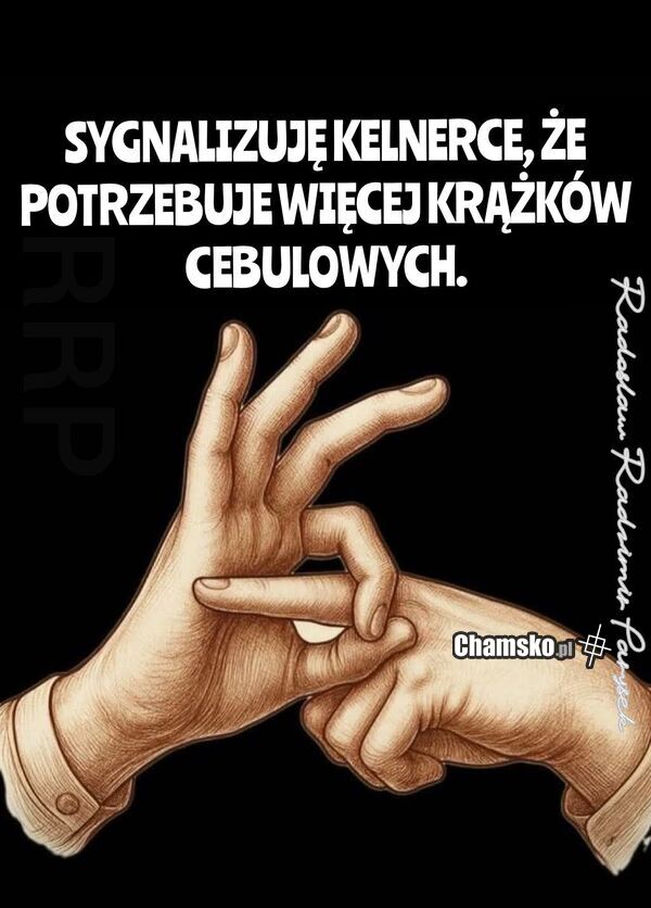 Krążki