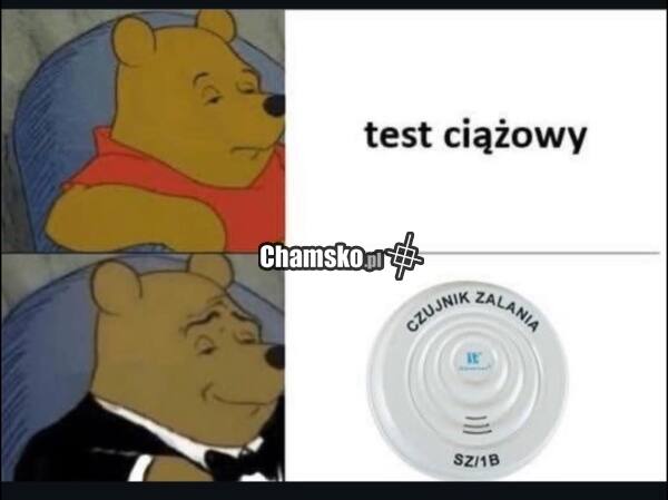 Test ciążowy