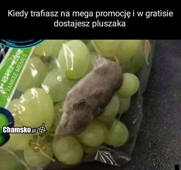 Gratis