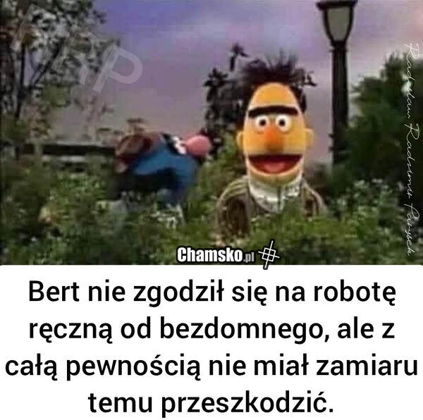 Robótka