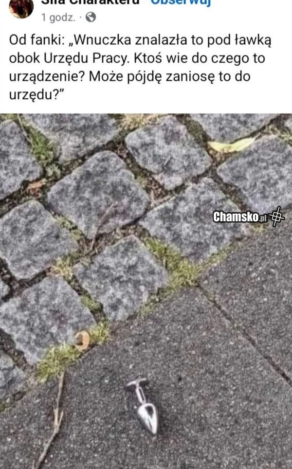Ja bym zaniósł