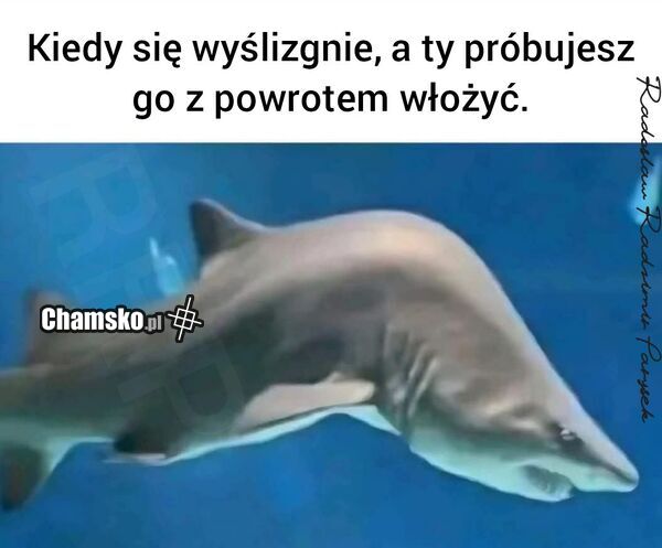 Gdy się wyślizgnie