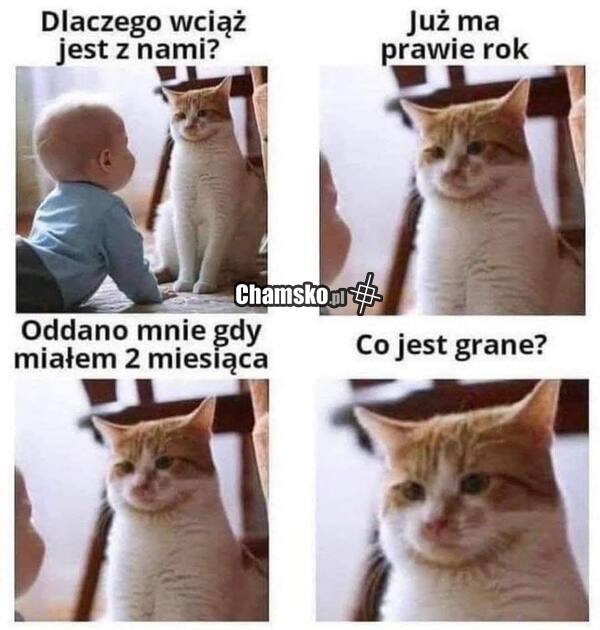 Ile można czekać?