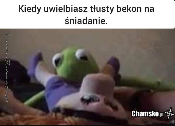 Tłusty bekon