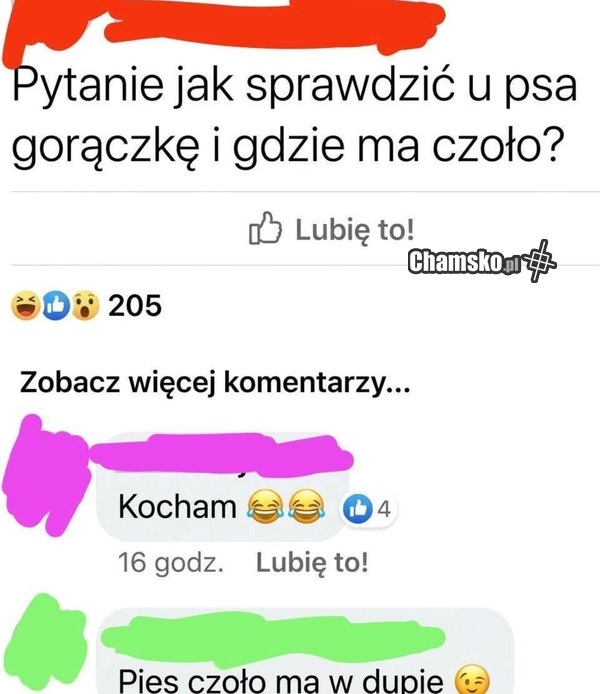 Sprawdzanie temperatury