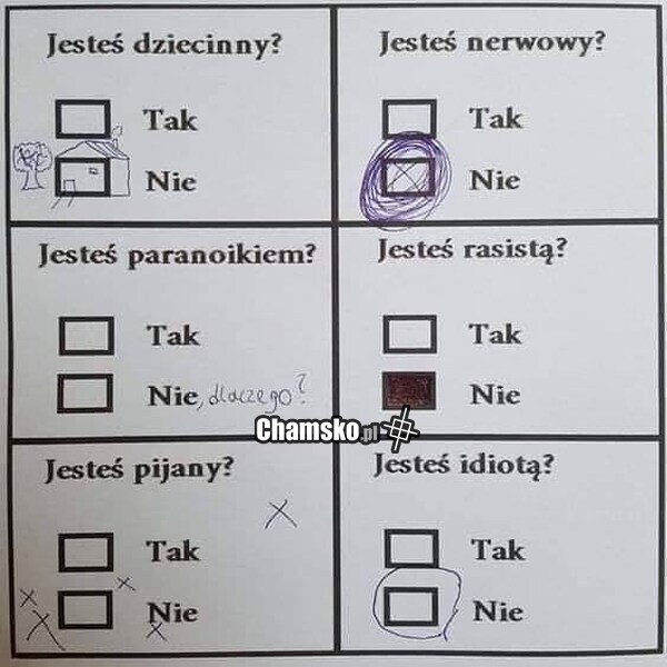 Ankieta