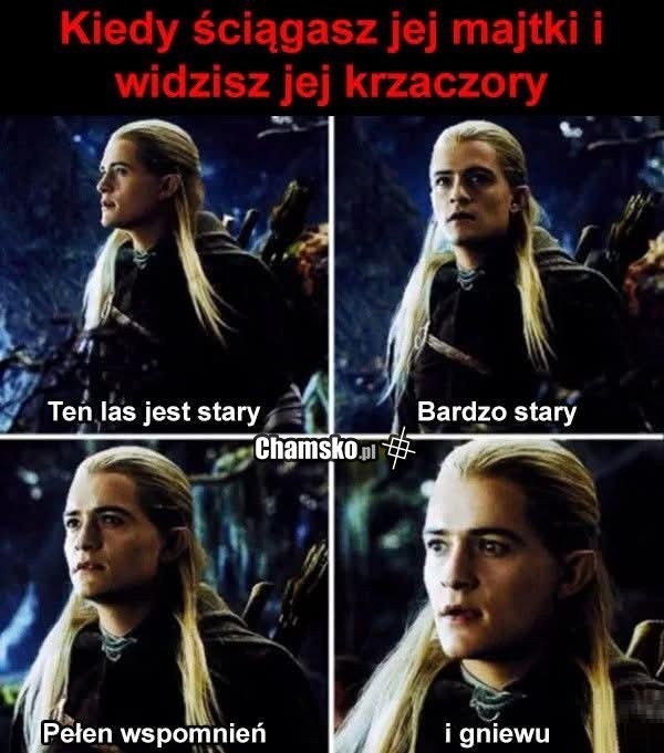 Stary las