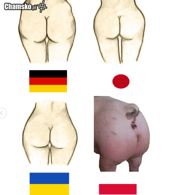 taka prawda