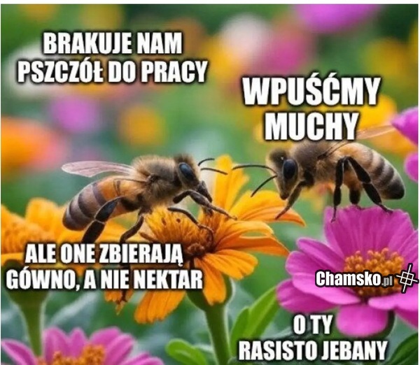 Pszczółki
