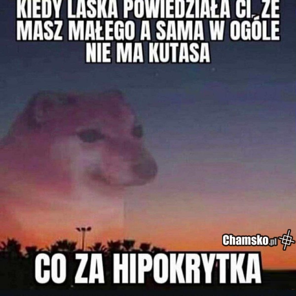 Głupia baba