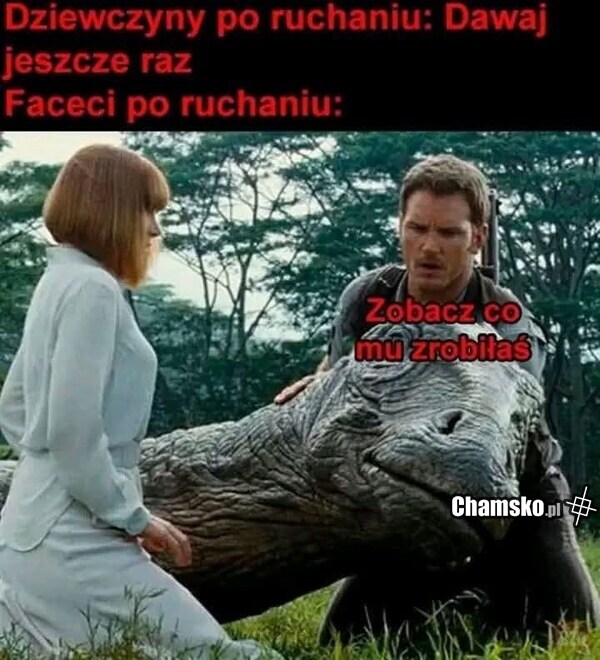 Zobacz co mu zrobiłaś