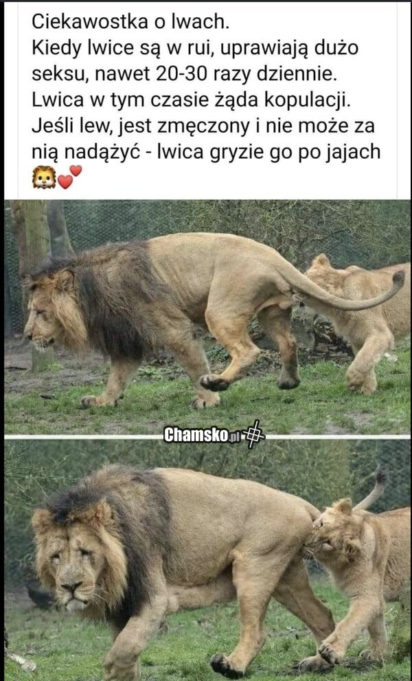 Nie wygląda na szczęśliwego