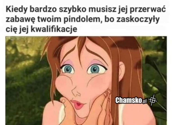Kwalifikacje