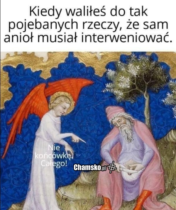 Całego!