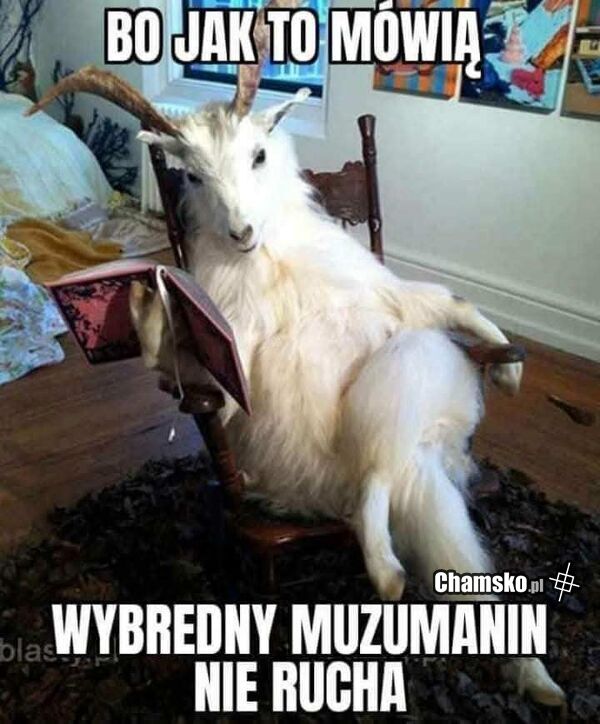 Jak to mówią...