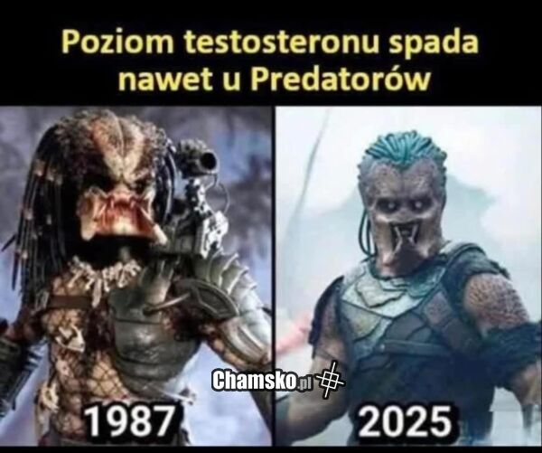 Testosteron