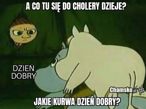 Dzień dobry