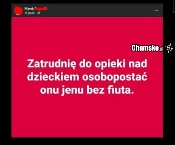 Poszukiwana do opieki