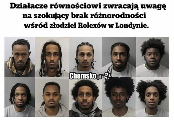 Różnorodność