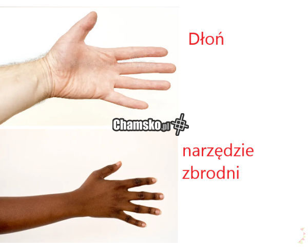 Narzędzie