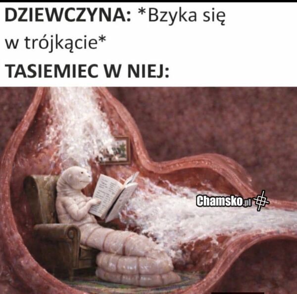 Tasiemiec