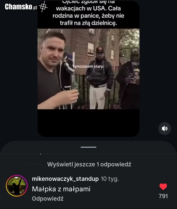 Małpka z małpami