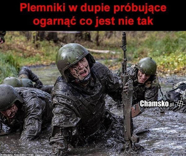 Plemniki