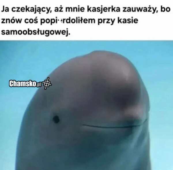 Kasy samoobsługowe