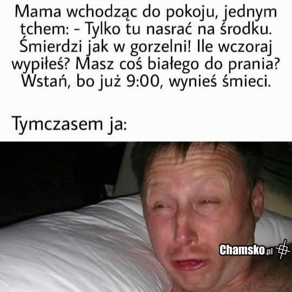 Typowy poranek