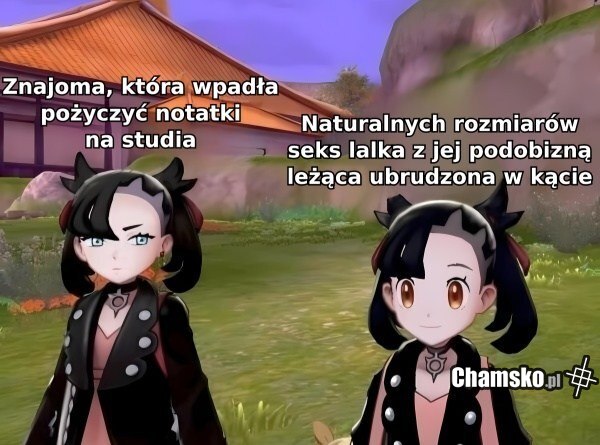Notatki