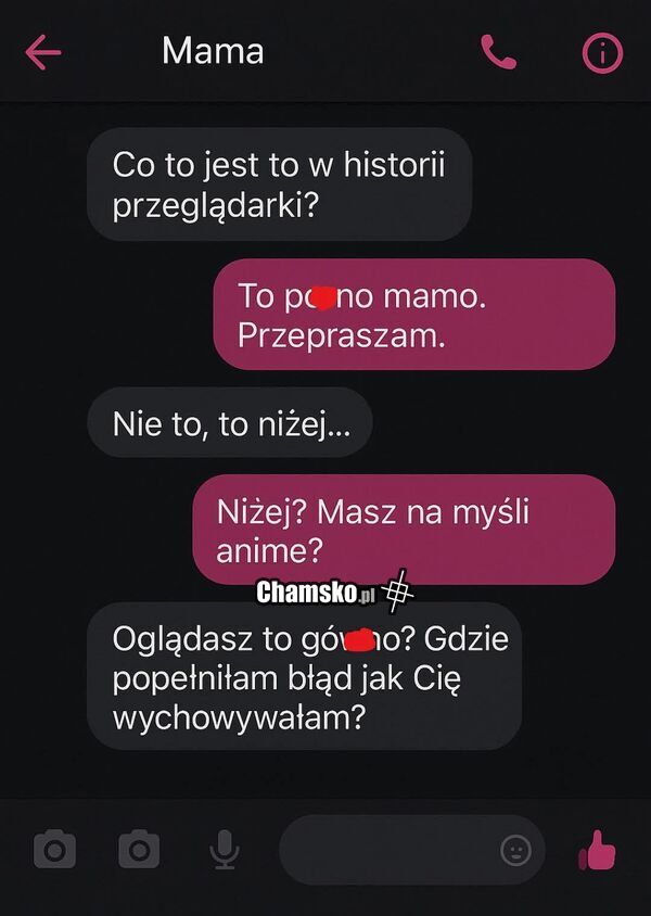 Historia w przeglądarce