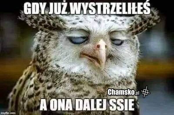 Ssanie