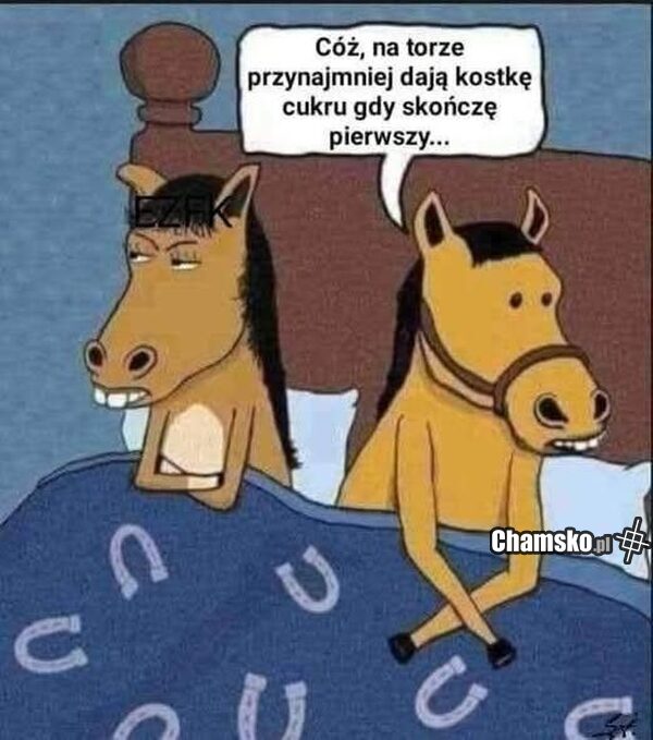 Pierszy na mecie