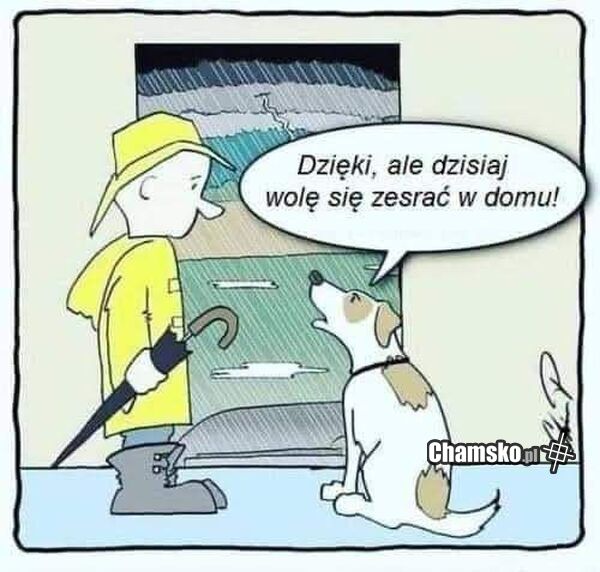 Deszczowa pogoda