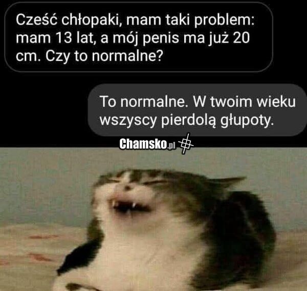 Czy to normalne?