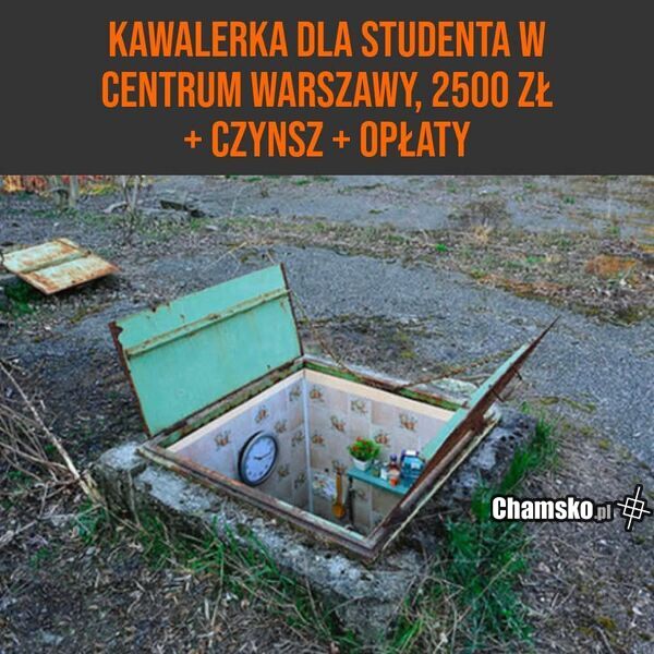 Kawalerka do wynajęcia