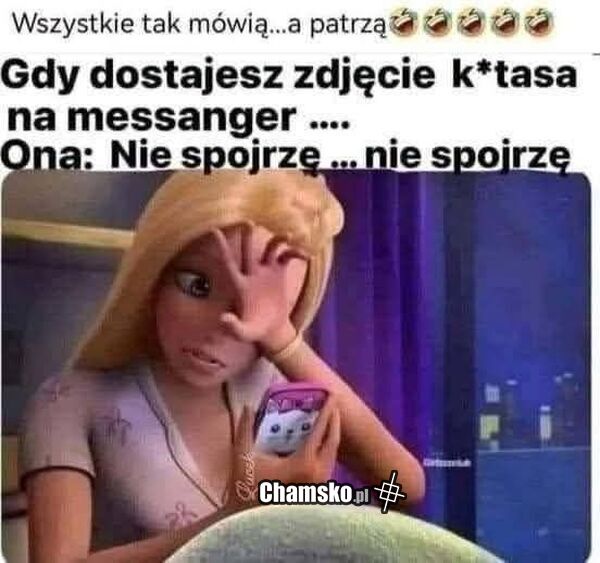 Zdjęcie ptaka