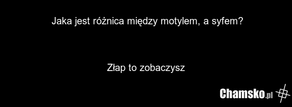 Jaka jest różnica między motylem, a syfem? Złap to zobaczysz