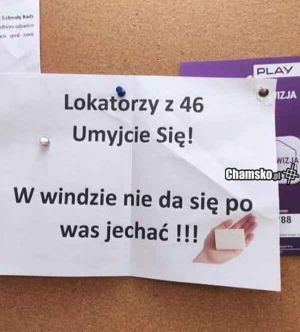 Lokatorzy z 46