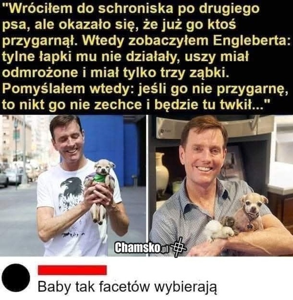 Pies ze schroniska