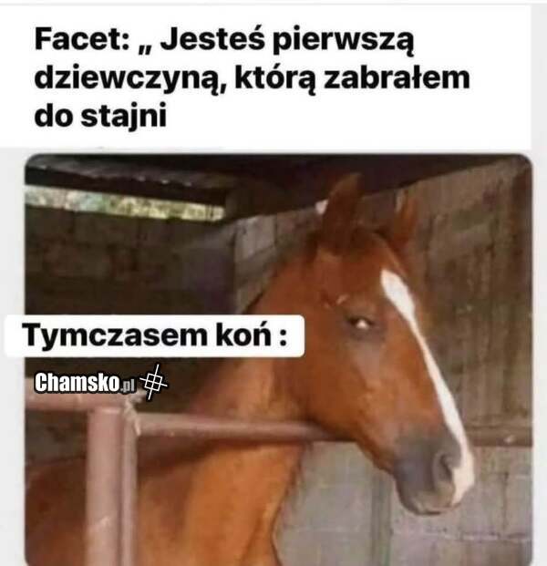 Jesteś pierwsza