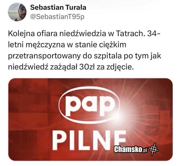 Ofiara niedźwiedzia
