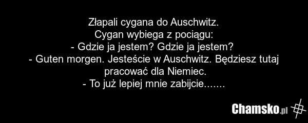 Złapali cygana do Auschwitz. Cygan wybiega z pociągu: - Gdzie ja jestem? Gdzie ja jestem? - Guten morgen. Jesteście w Auschwitz. Będziesz tutaj pracować dla Niemiec. - To już lepiej mnie zabijcie.......