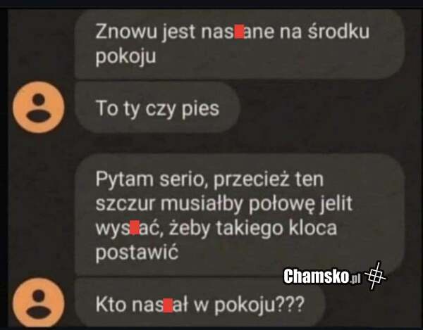 Klocek w pokoju