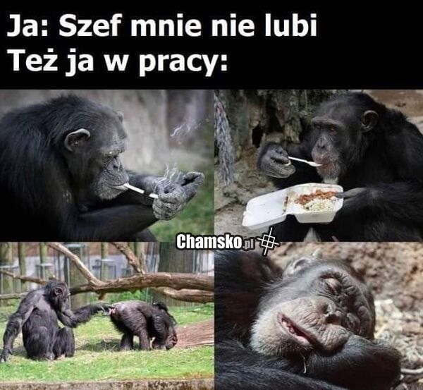 W pracy