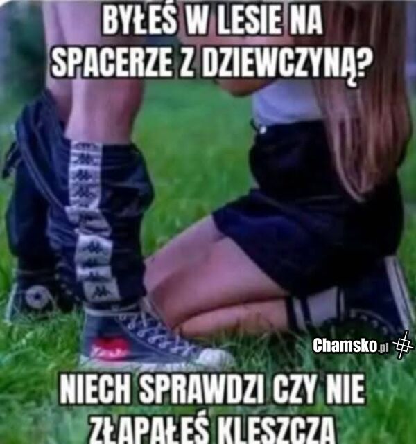 Kleszcz